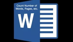 Count number of words